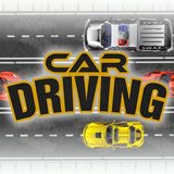 Car Driving