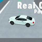 Real Car Parking 3D
